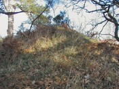 NH64SE0029DJL5.JPG