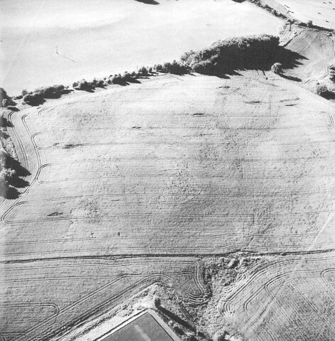 NH64SE0380 CDF05-Aerial_photo-Before.jpg