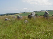 nh64sw0001eve5.JPG