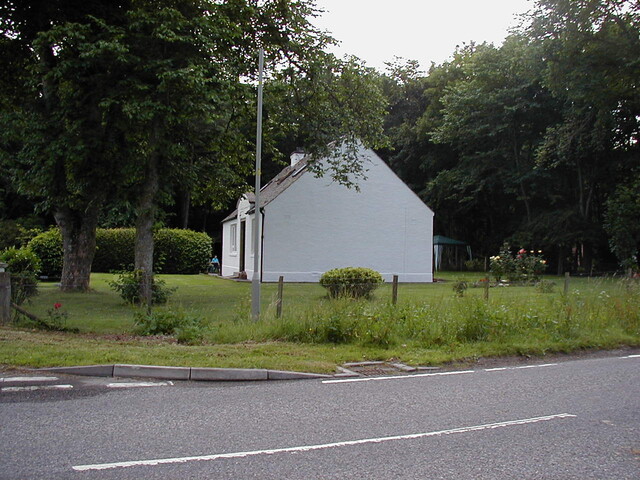 nh64sw0037eve2.JPG