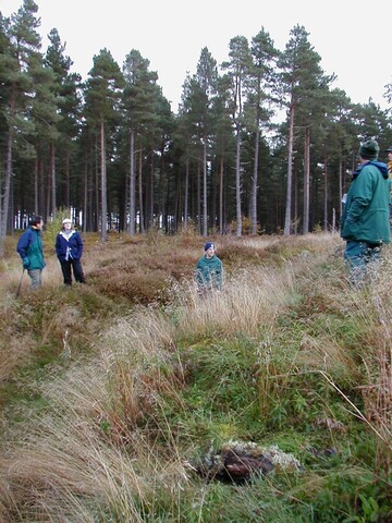 NH65NW0001AW2.jpg