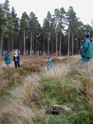 NH65NW0001AW2.jpg