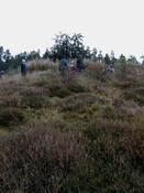 NH65NW0001AW3.jpg