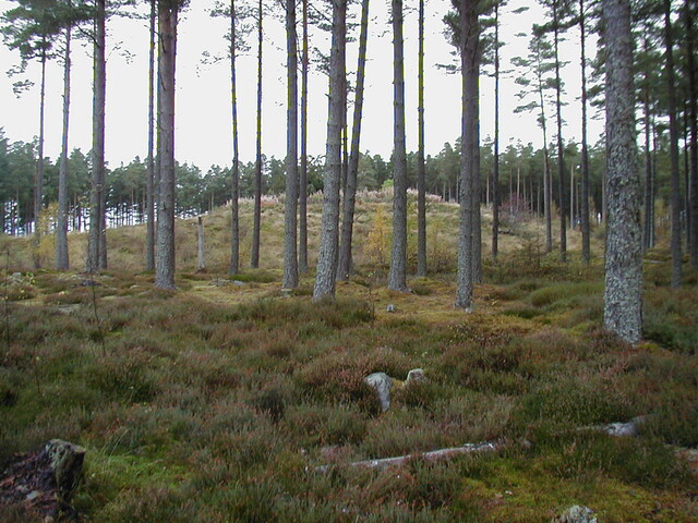 NH65NW0001AW4.jpg