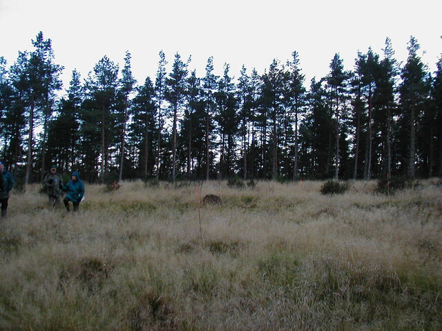 NH65SE0005AW1.jpg