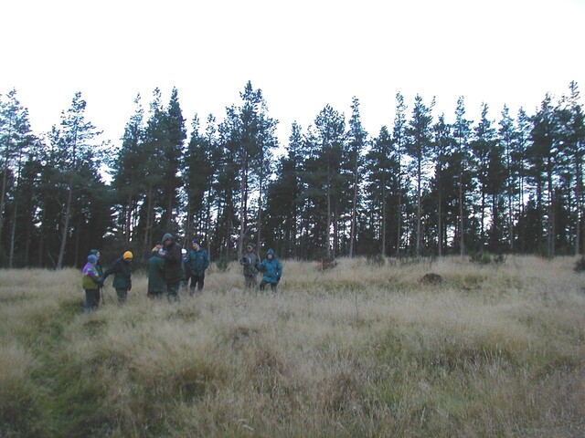 NH65SE0005AW2.jpg