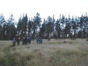 NH65SE0005AW2.jpg
