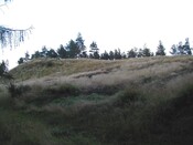 NH65SE0006AW1.jpg