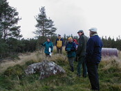 NH65SE0006AW2.jpg