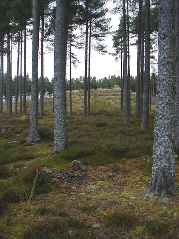 NH66SE0006AW1.jpg