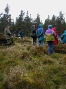 NH66SE0006AW2.jpg