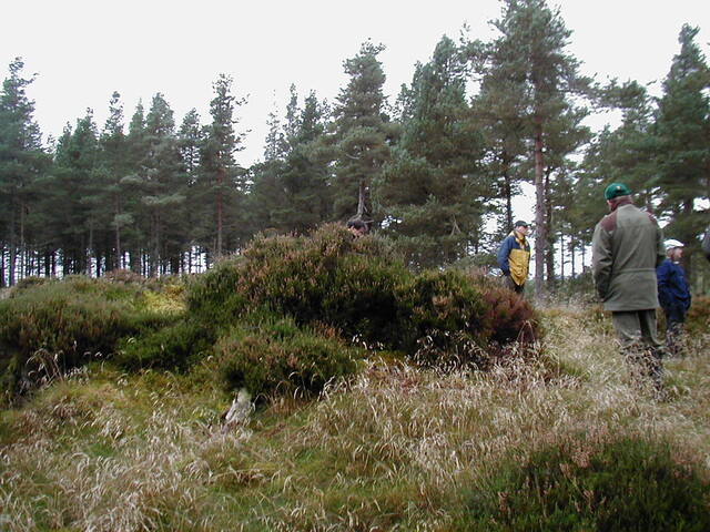 NH66SE0006AW3.jpg