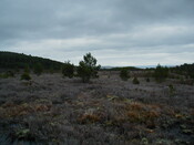NH67NE0001HAW1.JPG