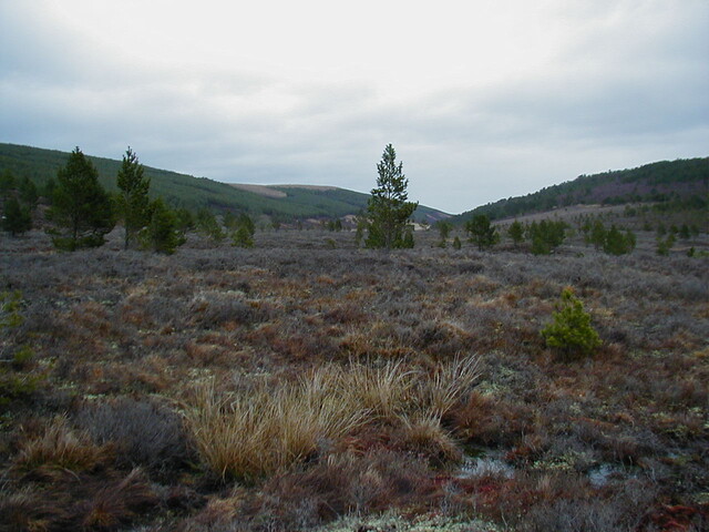 NH67NE0001HAW3.JPG