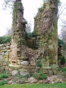 NH67SE0007 Newmore Castle 2.JPG