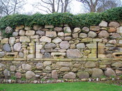 NH67SE0007 Newmore Castle 4.JPG