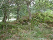 NH69SE0005.jpg