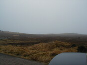 NH69SW0005HAW1.JPG