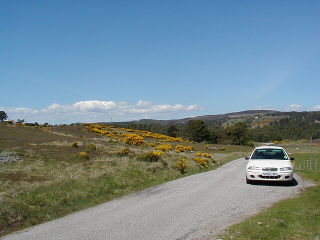 Nh69SW0005HAW3.JPG