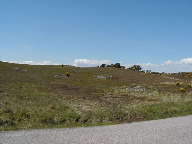 Nh69SW0005HAW4.JPG