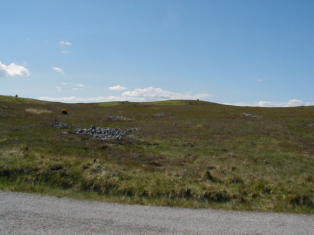 Nh69SW0005HAW5.JPG