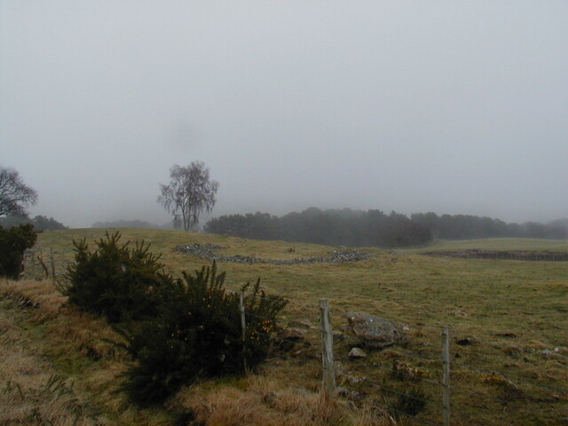 NH69SW0153HAW2.JPG