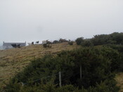 NH69SW0154HAW1.JPG