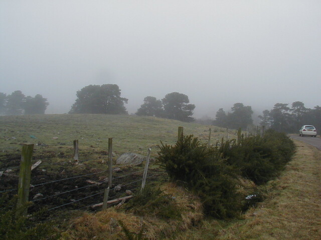 NH69SW0155HAW1.JPG