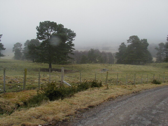 NH69SW0155HAW2.JPG