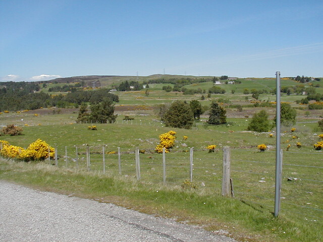 Nh69SW0155HAW3.JPG