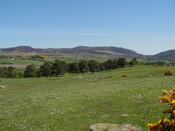 NH69SW0155HAW5.JPG