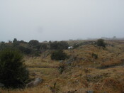 NH69SW0156HAW1.JPG