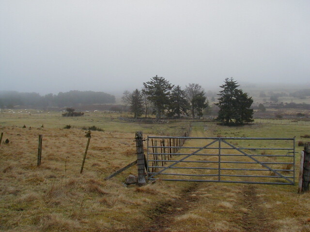 NH69SW0167HAW1.JPG