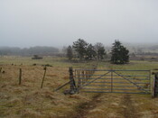 NH69SW0167HAW1.JPG