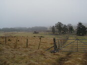 NH69SW0167HAW2.JPG