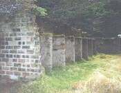 NH73NW0047 a.jpg