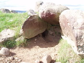 NH74NW0004 - cullernie cairn animaL action.JPG
