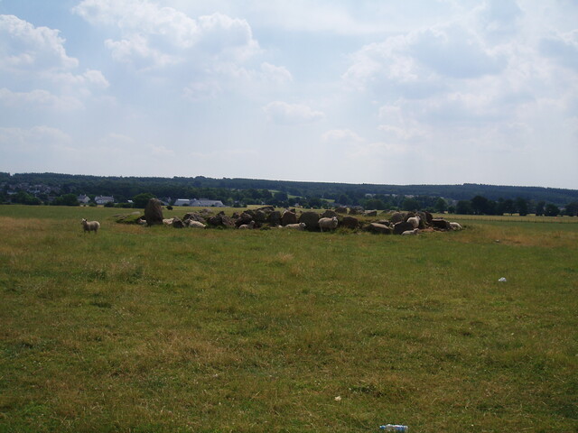 NH74NW0004 - sheep on cairn.JPG