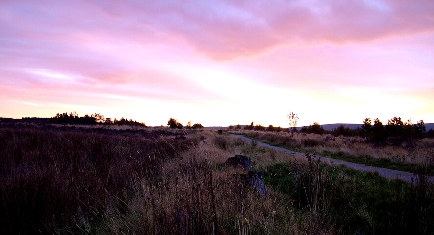 NH74NW0017 - 5 Culloden battlefield - Rhona McClelland.JPG