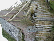 NH76NW0001HAW10.JPG