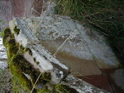 NH76NW0001HAW18.JPG