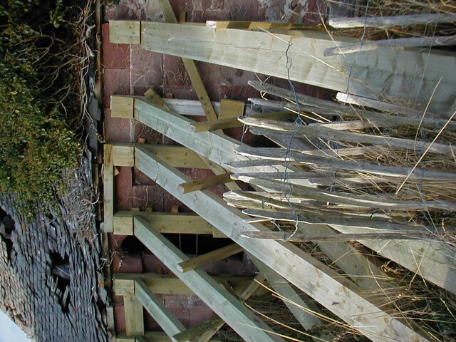 NH76NW0001HAW26.JPG