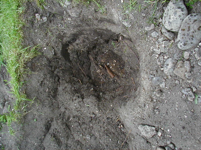 NH76NW0002HAW3.JPG