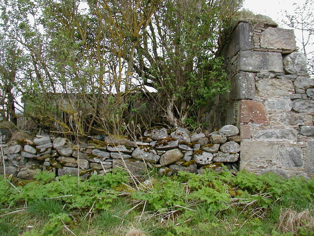 NH76NW0196HAW2.JPG