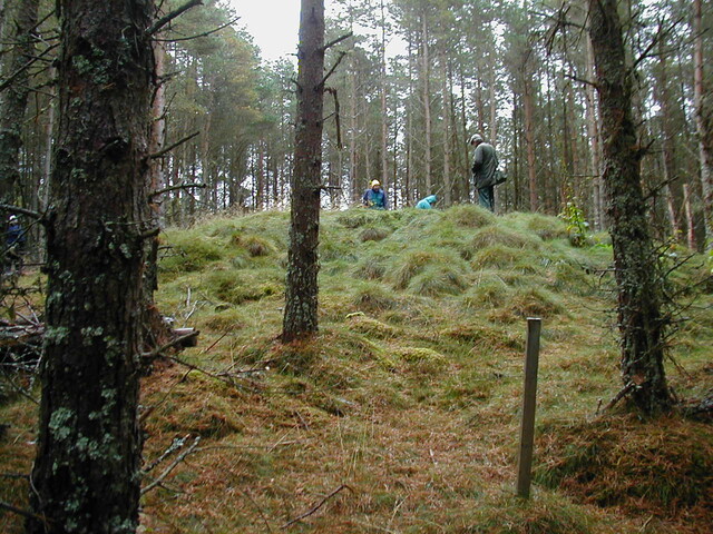 NH76SW0005AW1.jpg