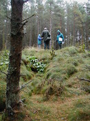 NH76SW0005AW2.jpg