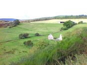 NH77NE0005 - LE1.jpg