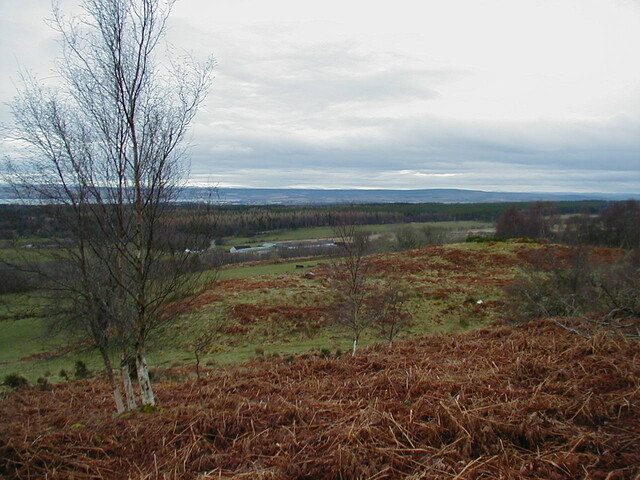 NH77NW0006HAW1.JPG