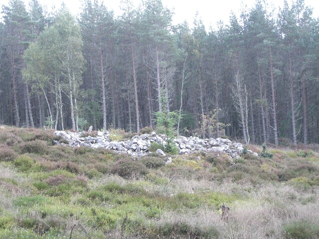 NH77NW0020CP01 - Scotsburn Wood East  Cairn possibly.JPG