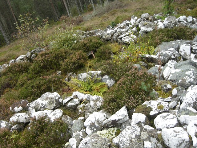 NH77NW0020CP02 - Scotsburn Wood East  possibly Cairn.JPG